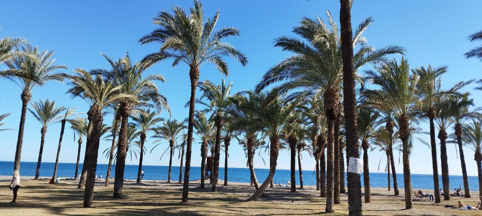 Torremolinos:Appartement Avec Piscine Et Terrasse Εξωτερικό φωτογραφία